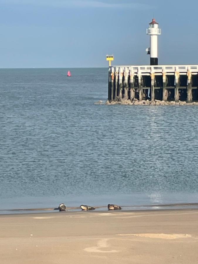 Seaview Penthouse Oostende מראה חיצוני תמונה